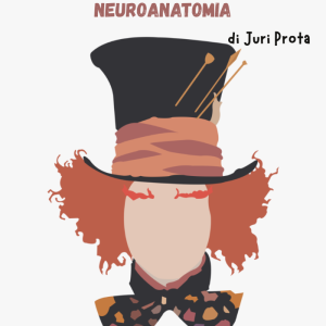 The Mad Hatter Neuroanatomia 2